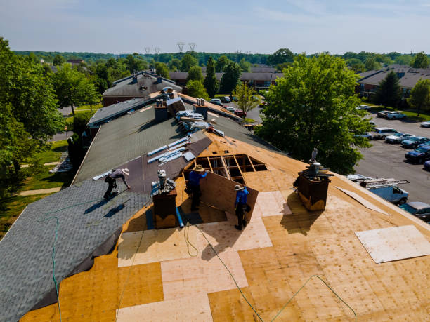 Trusted Flat Roof Repair service in Painter, VA - Brentwood Metal Roofing